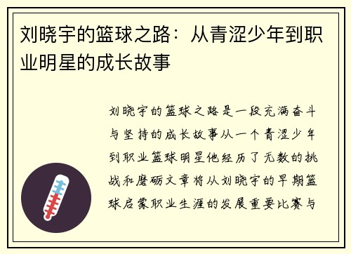 刘晓宇的篮球之路：从青涩少年到职业明星的成长故事